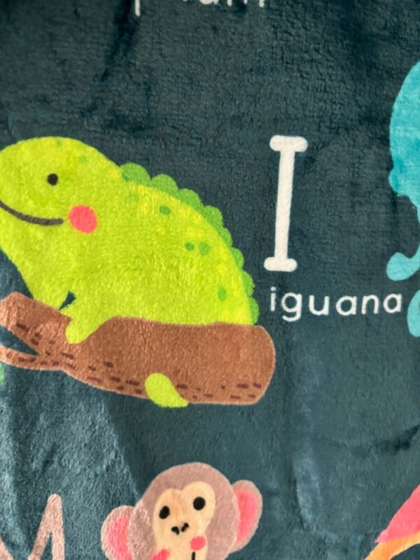 Personalized ABC Blanket - Animals Alphabet Blanket - Alphabet Gift for Kids - ABC Zoo Car Seat Blanket - Cozy & Warm Nap Blanket for Kid