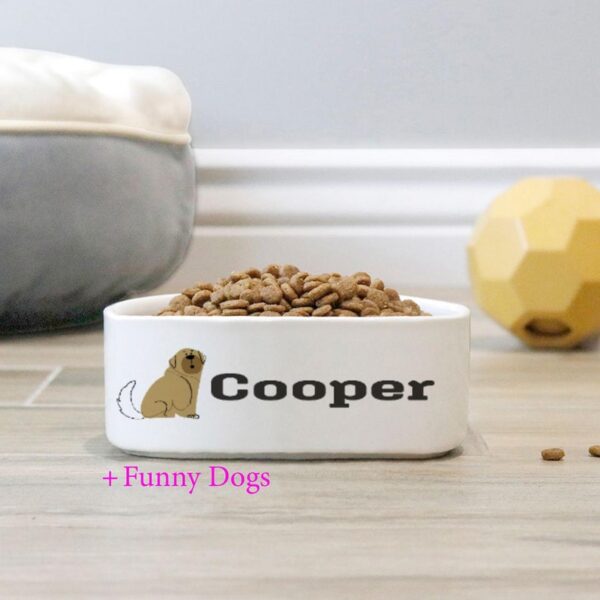 Funny Dog Bowl