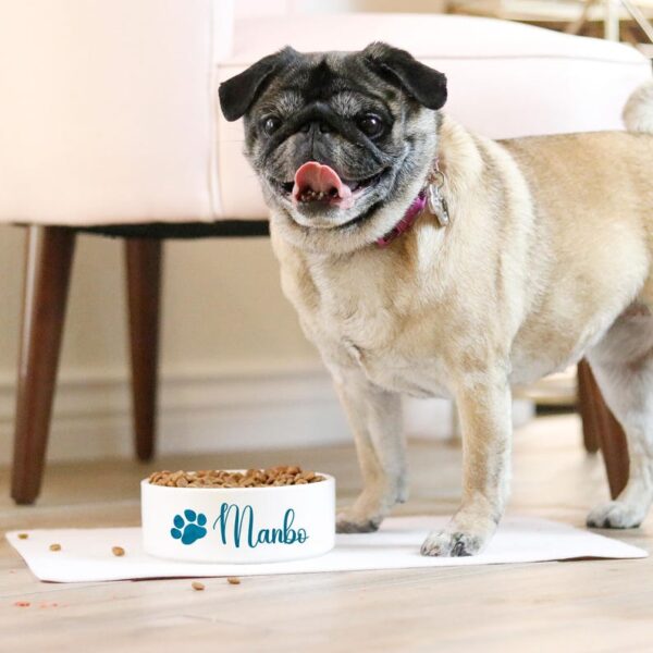 nique Dog Food Bowl with Name, Personalized Ceramic Dog Bowl, Food/Water Bowl for Pet, Cat Feeder Bowl, Puppy Gift, Watercolor Paws Gifts